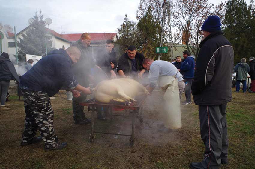 Disznóvágás Kocséron