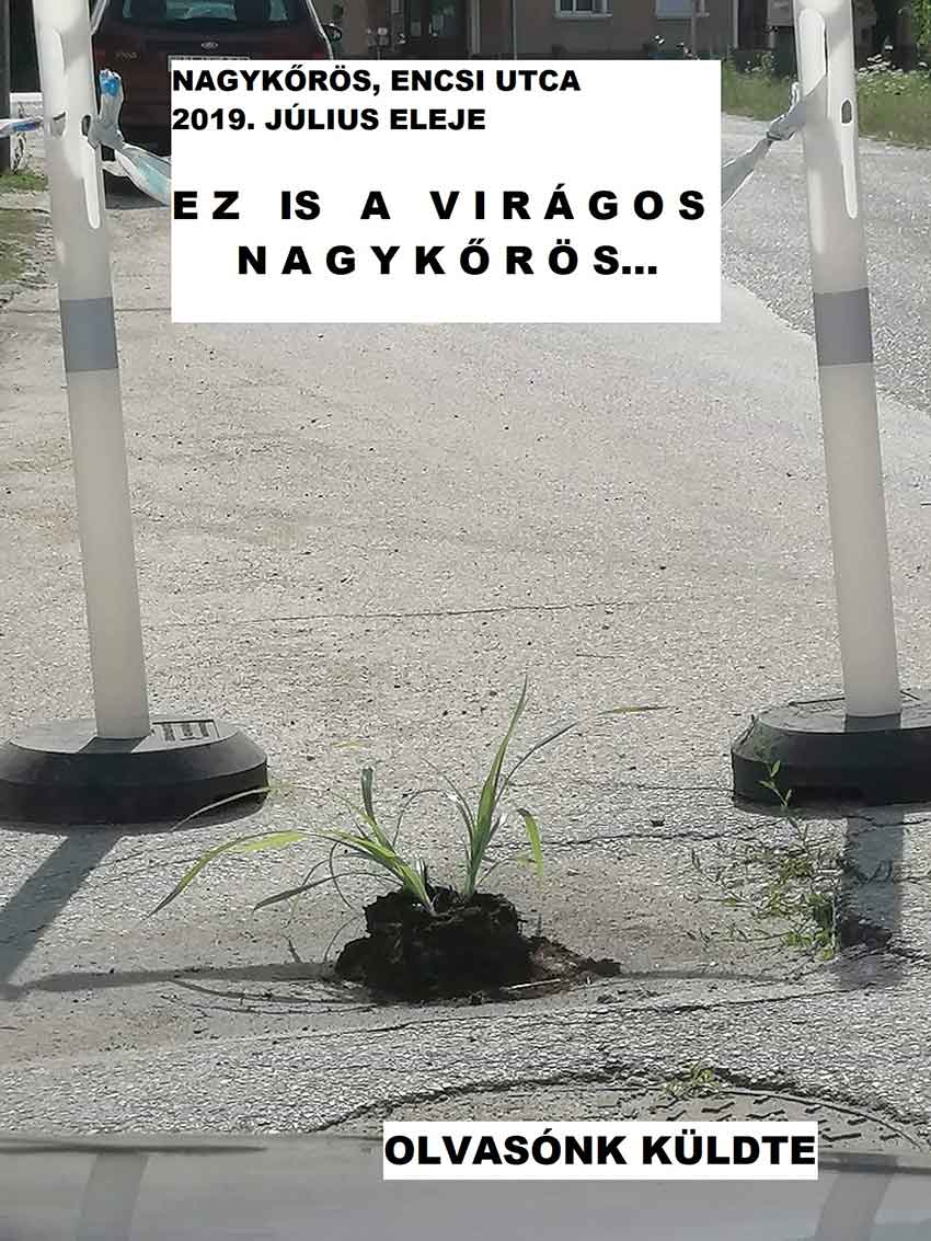 Ez is a virágos Nagykőrös...