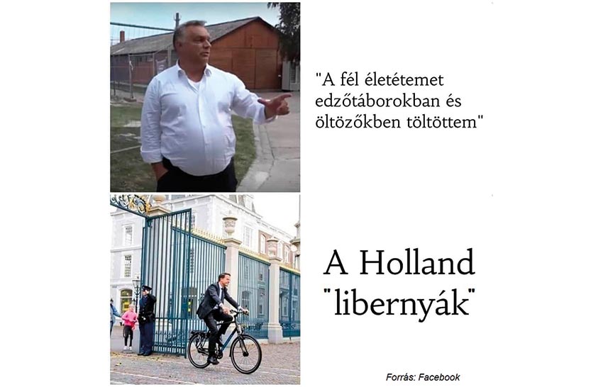 Az edzett politikus