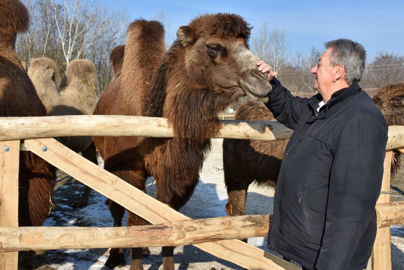 Újabb 2 millió forint támogatást kap a szafari park