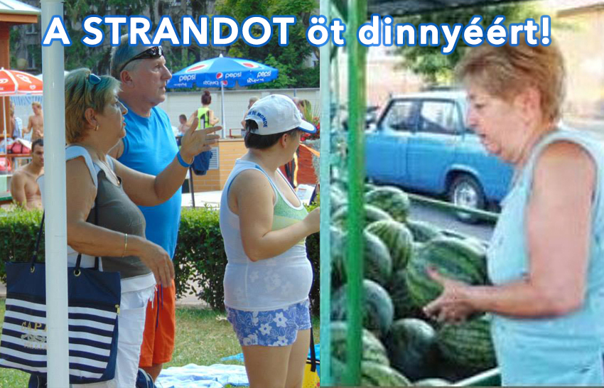 A STRANDOT öt dinnyéért!