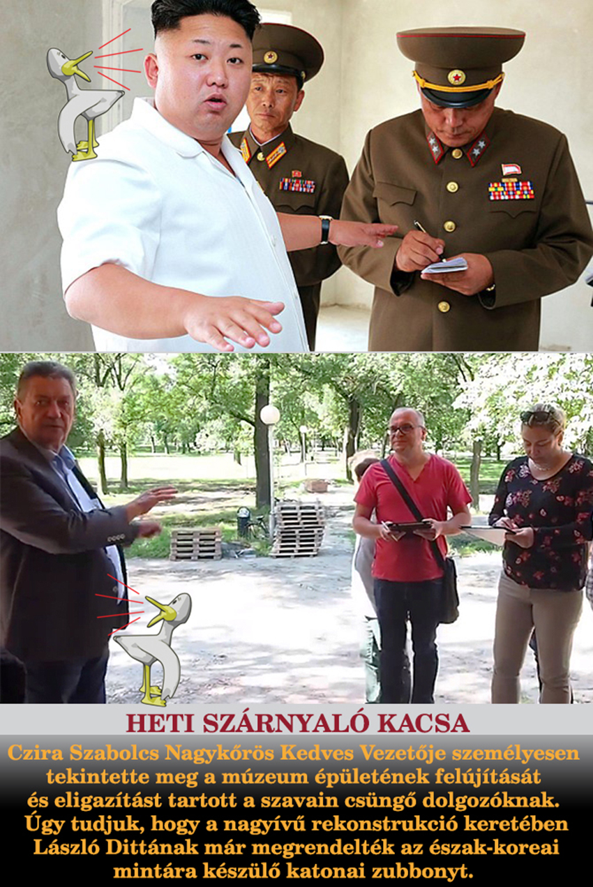 Heti szárnyaló kacsa…