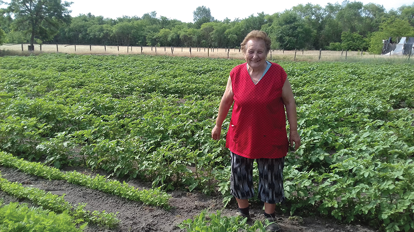 Mire (is) jó a konyhakert? – avagy a „Legszebb konyhakertek”-ről másképp