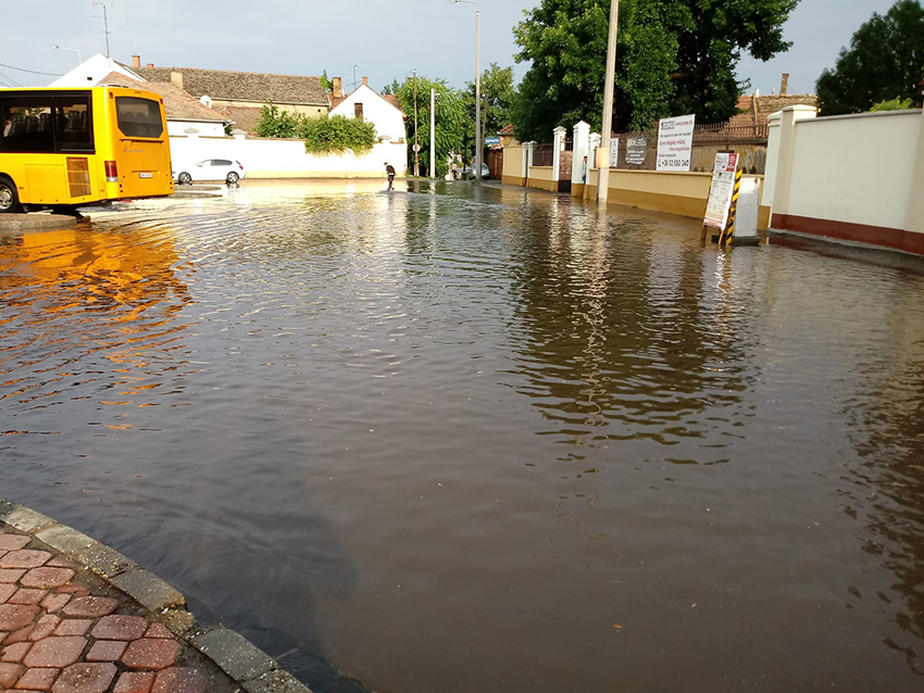 Heti szárnyaló kacsa…