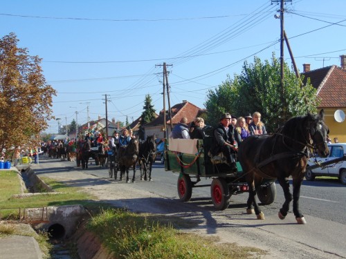 XII. Szüreti Fesztivál Törtelen