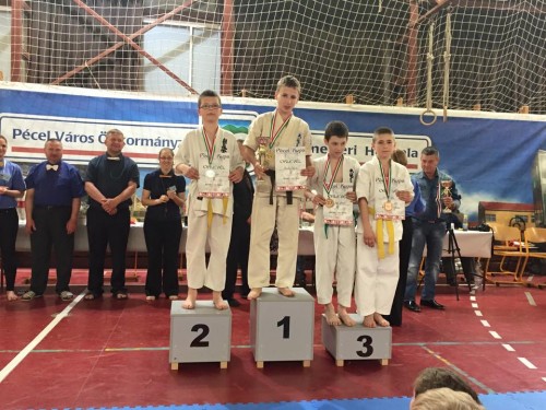 Remekelt a Kyokushin karate bajnokságon a Harcosok Klubja