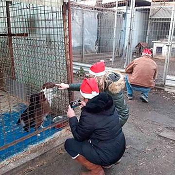 Mikulási Adománygyűjtés a Ceglédi Állatmenhely javára!